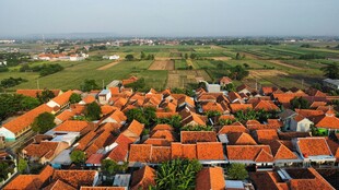 新农村美景