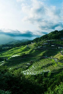 山间绿野风光