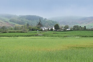 田园绿野间的宁静村落