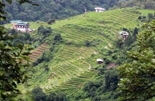 山间梯田村落美景
