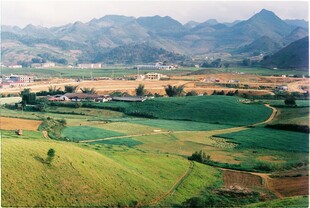 田园风光
