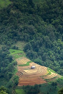 山间梯田美景