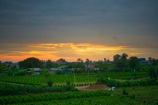 田园黄昏美景