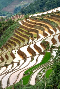 壮观梯田美景