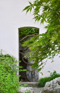 中式庭院绿植景观一角