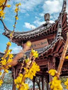 古建繁花相映成趣