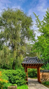 园林中式凉亭绿植美景