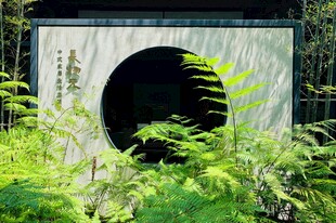 中式园林圆门绿植景致