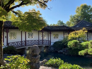 中式庭院美景