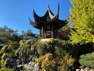 中式古亭掩映于繁茂绿植
