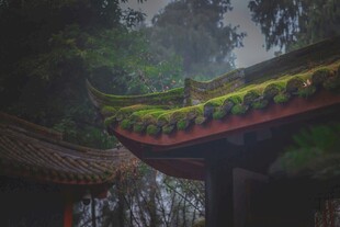 古建屋檐隐于山林间