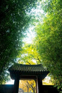 竹林中的中式门楼