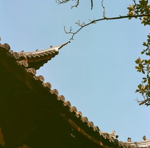 中式屋檐与枝头蓝天景致