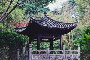中式古亭隐于葱郁林间