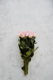 粉色玫瑰花束