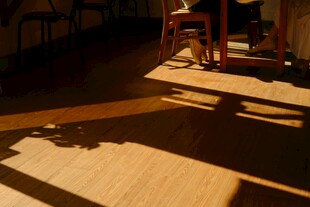 室内阳光洒落的静谧角落