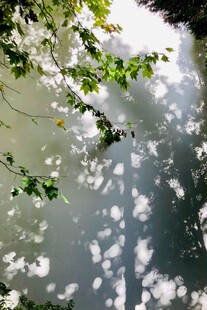 树叶光影下的静谧水面