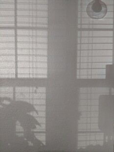 朦胧窗景下的静谧氛围