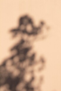 模糊树影