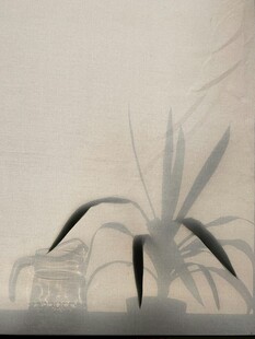 朦胧诗意景致