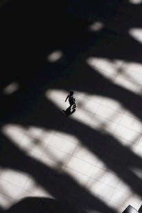 光影下的独行者