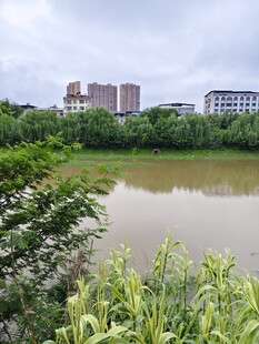 城郊河畔风光