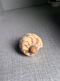 木质雕刻蜗牛摆件