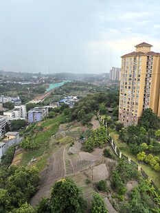 城市中绿意盎然的山坡景观