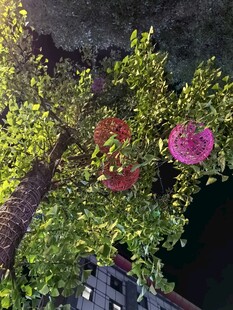 夜幕下繁花满树的景致