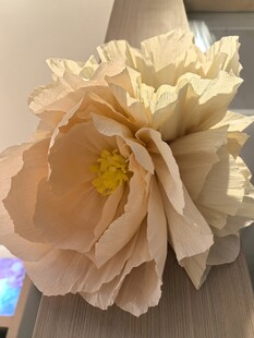 手工纸艺花朵特写