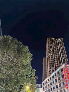 城市夜景中的高楼与绿树