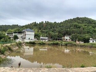 乡村水边景致