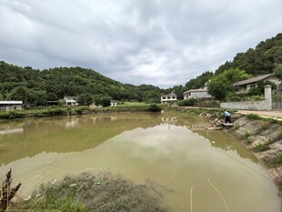 乡村河畔风景