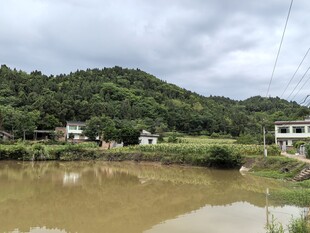 乡村水边景致