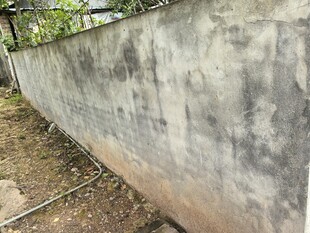 老旧斑驳的水泥围墙