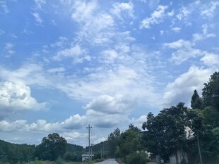蓝天白云下的山林景致