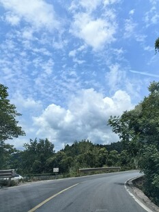 蜿蜒公路旁的葱郁景致