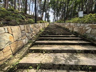 林间石阶