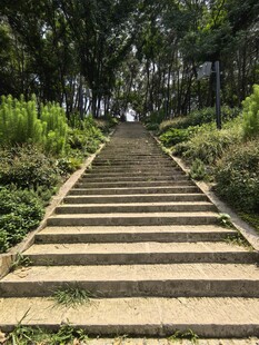 林间石阶小道