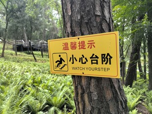 景区树木上的小心台阶提示牌