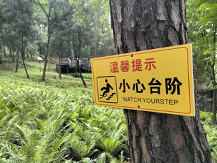 树林中的小心台阶提示牌