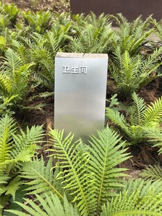 森林中的标识牌