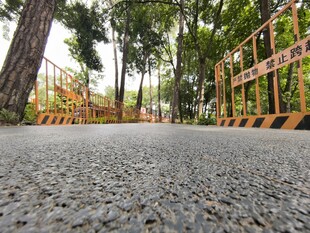 户外碎石路与周边景致