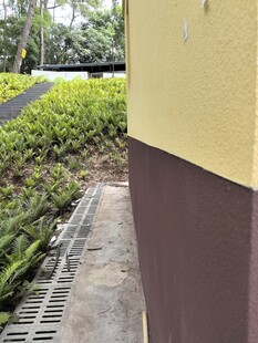 墙边绿植与排水设施
