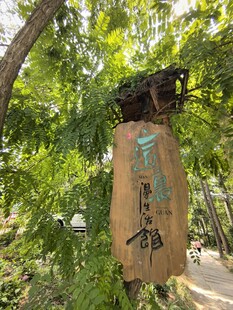 古朴中式路标隐于绿树间