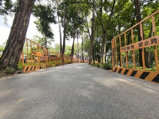 林间施工道路