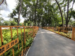 林间步道