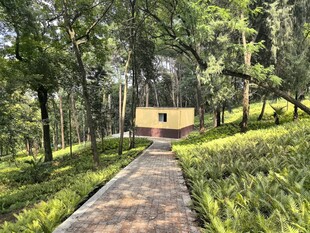 林间小径旁的温馨小屋