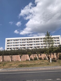城市中高楼与绿植景观