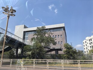 现代建筑旁的绿树与蓝天